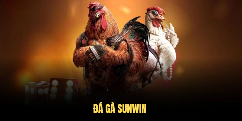 Đá Gà SUNWIN – Trải Nghiệm Đấu Trường Kịch Tính, Thưởng Lớn