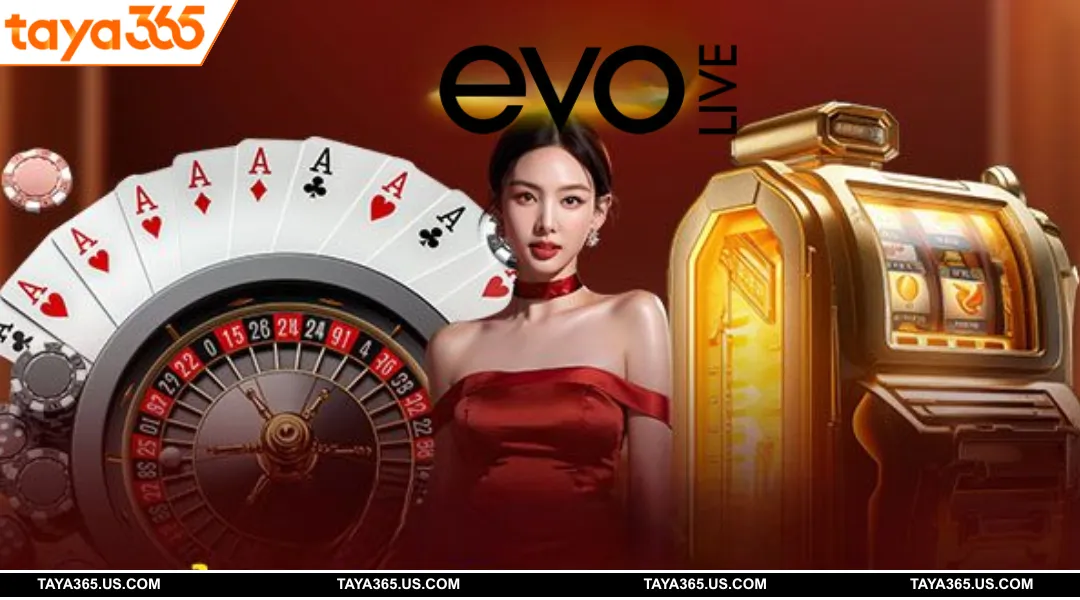 Tổng Quan Về Chơi Evo Live DN88